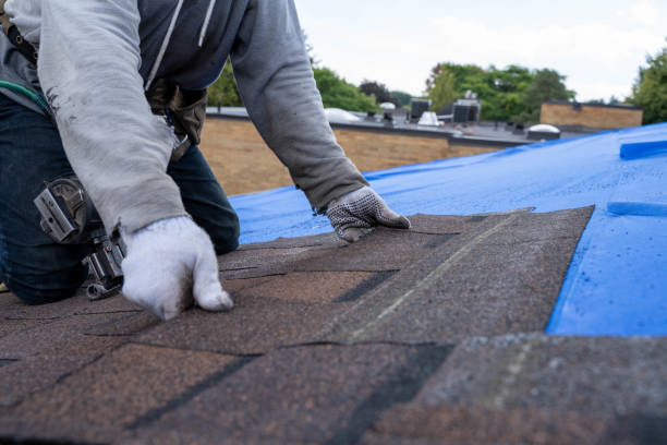 Best Sealant for Roof  in Lyons, KS