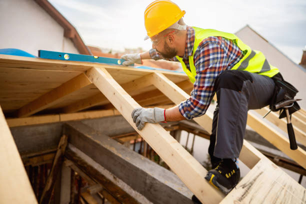 Best Roof Gutter Cleaning  in Lyons, KS